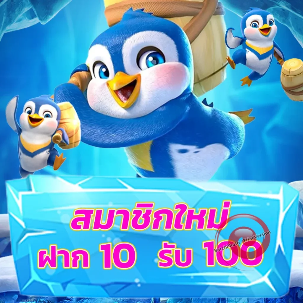 hai chok 168 จ่ายหนัก