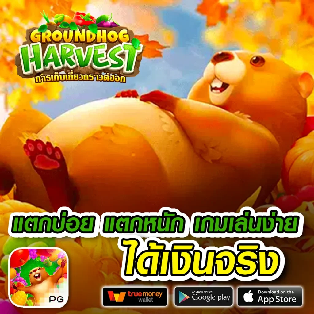 hai chok 168
